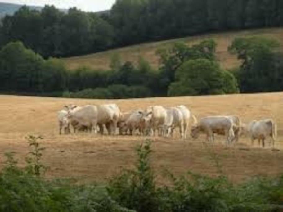 Вилла La Ferme Des Pierrettes Menneville Экстерьер фото