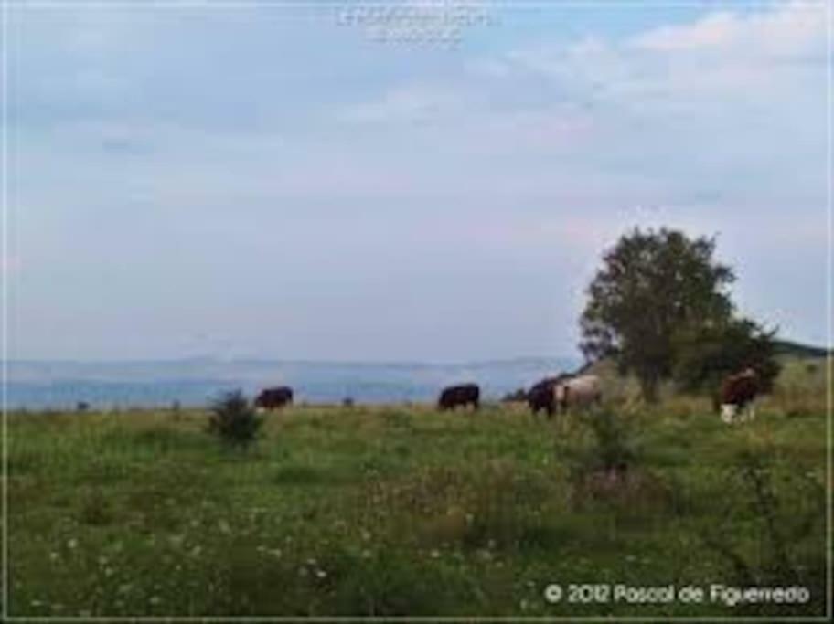 Вилла La Ferme Des Pierrettes Menneville Экстерьер фото